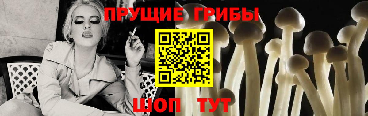 наркотики  Галлюциногенные грибы ЛСД  Вход с VPN  Тольятти 